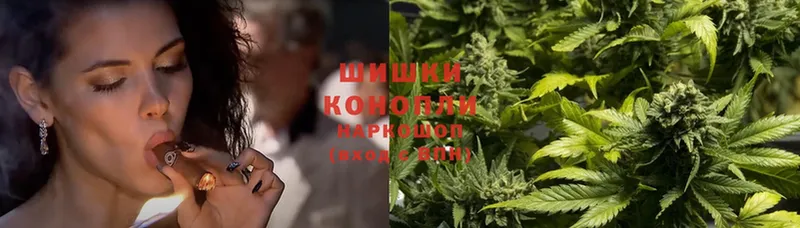 Бошки марихуана SATIVA & INDICA  цены наркотик  Североморск 